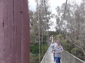 Murray River Suspension Bridge